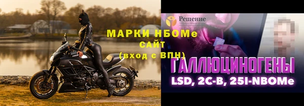 индика Михайловск