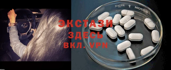 индика Михайловск