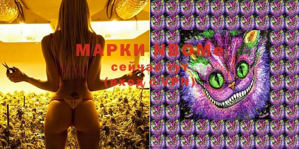 индика Михайловск