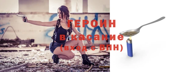 индика Михайловск