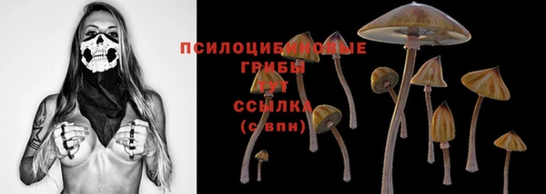индика Михайловск
