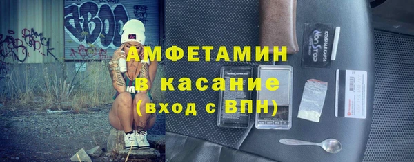 индика Михайловск