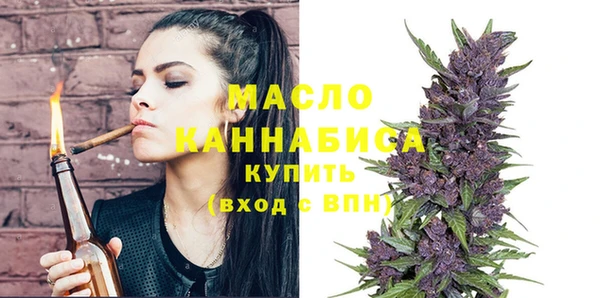 индика Михайловск