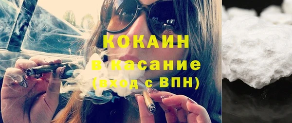 индика Михайловск