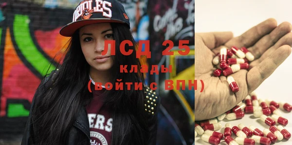 индика Михайловск