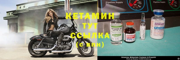 индика Михайловск